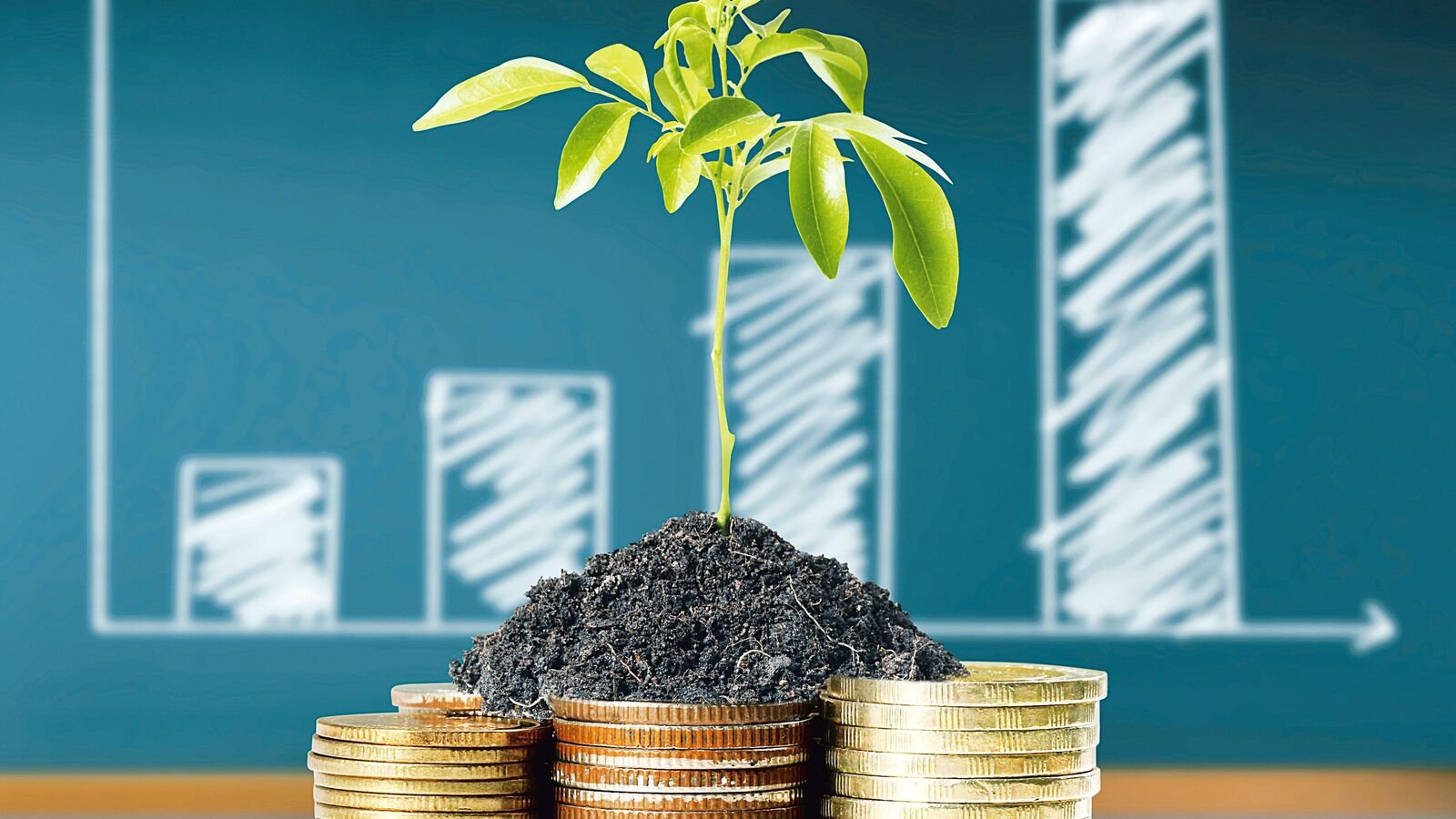 Rich foreigners will now get tax-free access to Indian MFs