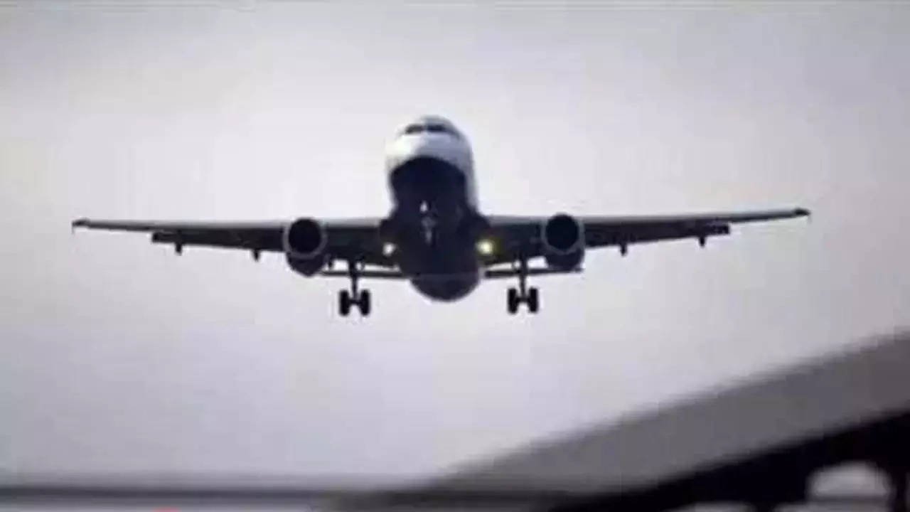 Indian airlines to carry half of country’s international traffic by 2028: Crisil