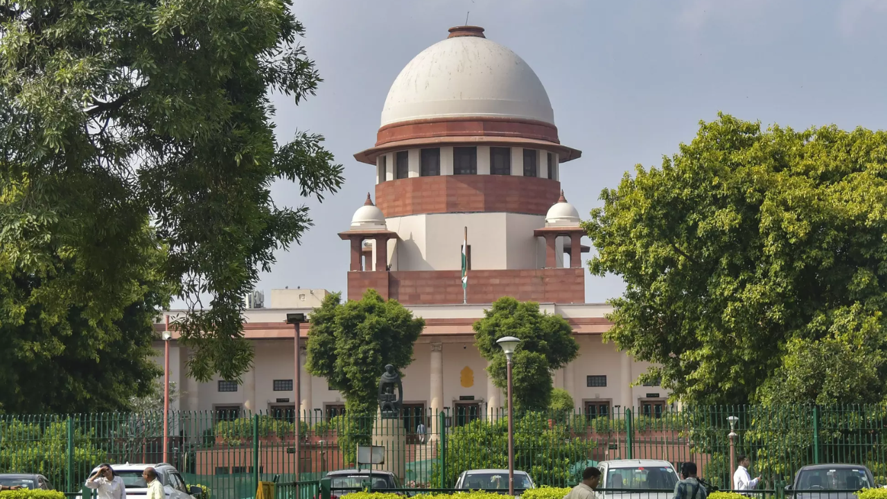 Embankment on river Yamuna to facilitate mining activity: SC asks CEC to examine issue