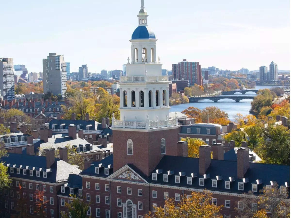 Harvard unearths rare 1300 Magna Carta long buried in its library’s shadows