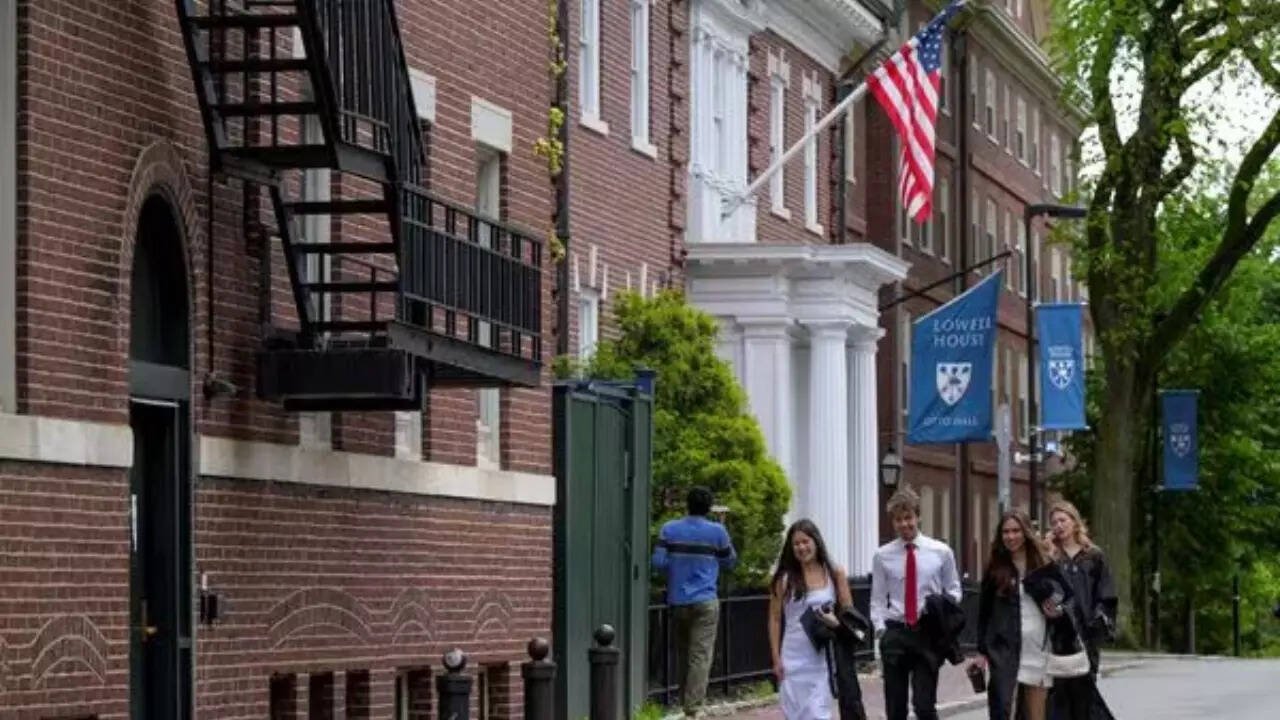 Harvard to court: Trump administration cut research grants over politics, urges judge to restore funding