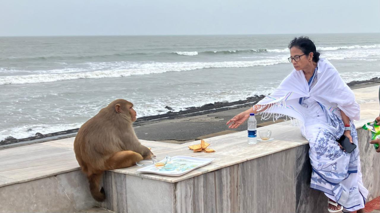 ‘Tea by the sea’: West Bengal CM Mamata Banerjee’s photo with monkey goes viral – see pics